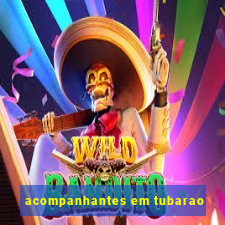 acompanhantes em tubarao